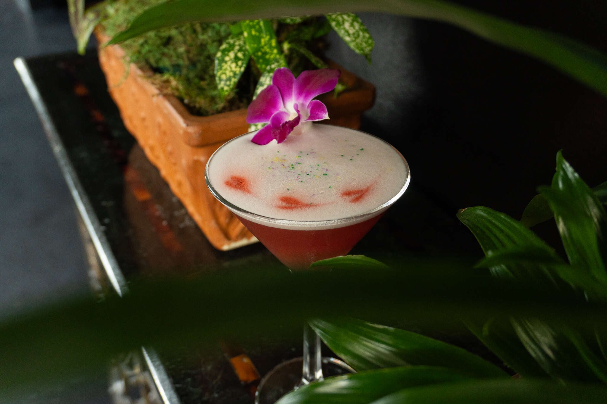 a cocktail with a purple flower on top